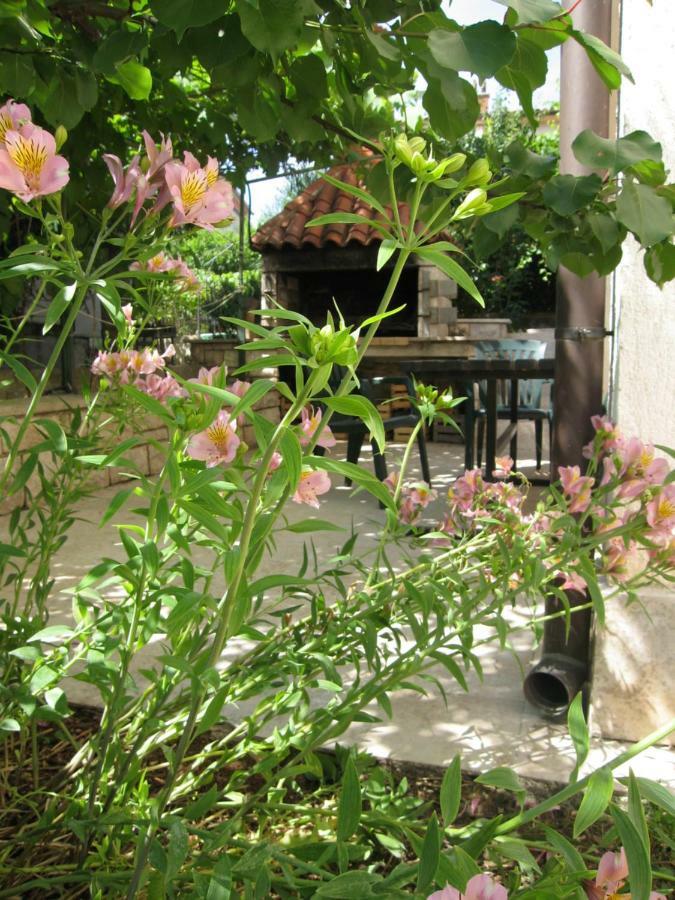 Apartment Petrinic V بولا المظهر الخارجي الصورة